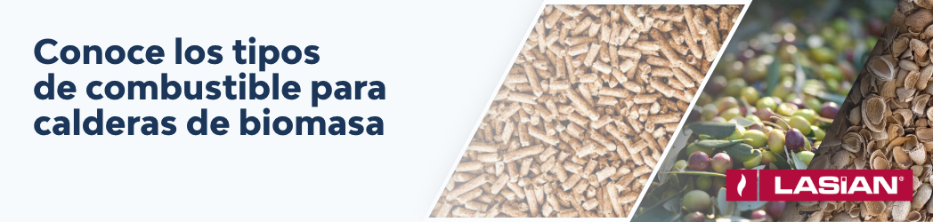 Tipos-de-combustible-para-calderas-de-biomasa