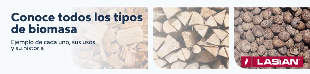 Conoce todos los tipos de biomasa: ejemplo de cada uno, sus usos y su historia